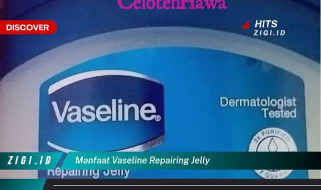 Temukan 7 Manfaat Vaseline Repairing Jelly yang Bikin Kamu Penasaran – Discover