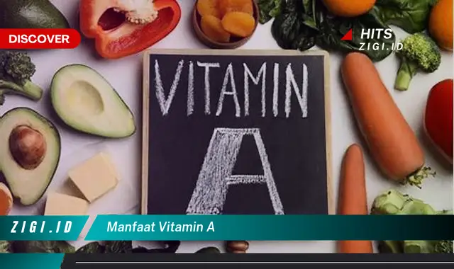 Ketahui 7 Manfaat Vitamin A yang Wajib Kamu Intip – Discover