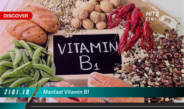Temukan 7 Manfaat Vitamin B1 yang Bikin Kamu Penasaran – Discover