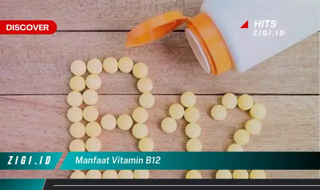 Intip 7 Manfaat Vitamin B12 yang Bikin Kamu Penasaran – Discover